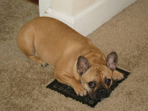 img_0120madi-1.jpg