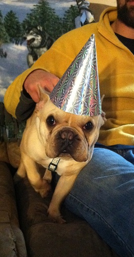 jasper4yrs.jpg